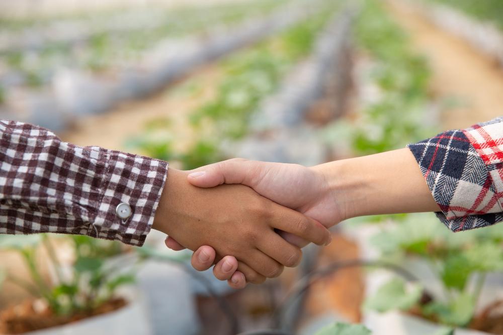 El Agronegocio en Perú: Un Motor de Crecimiento y Oportunidades