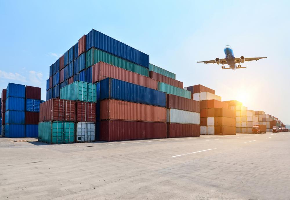 Importation Models in Brazil: A Quick Guide