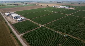 2.2 Agriculture