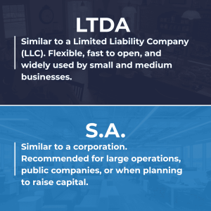 3. Choosing the Right Company Type